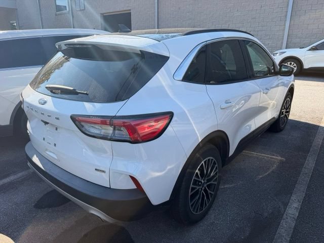 Used 2022 Ford Escape SEL FWD image 6