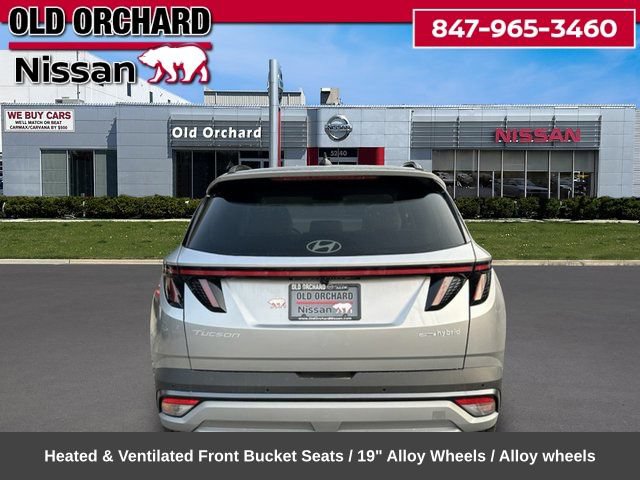 Used 2025 Hyundai Tucson Limited AWD/4WD image 7