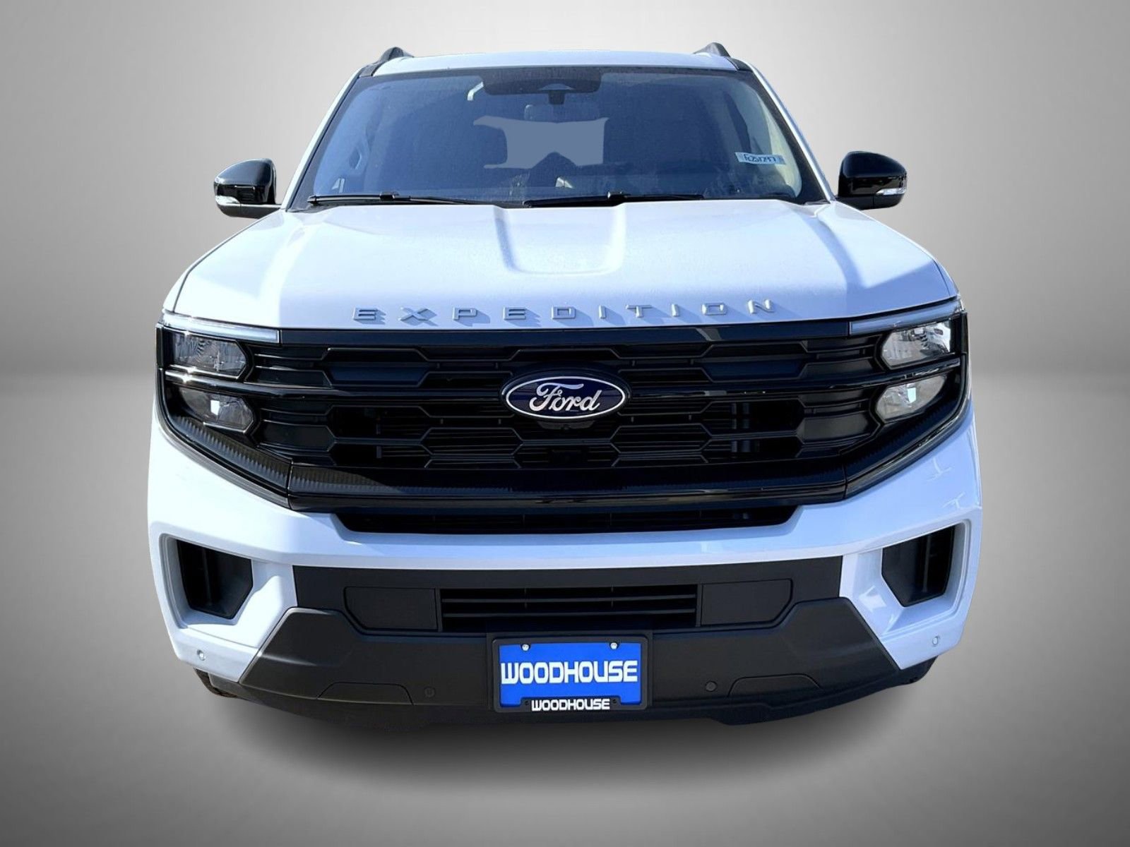 New 2025 Ford Expedition Active image 2