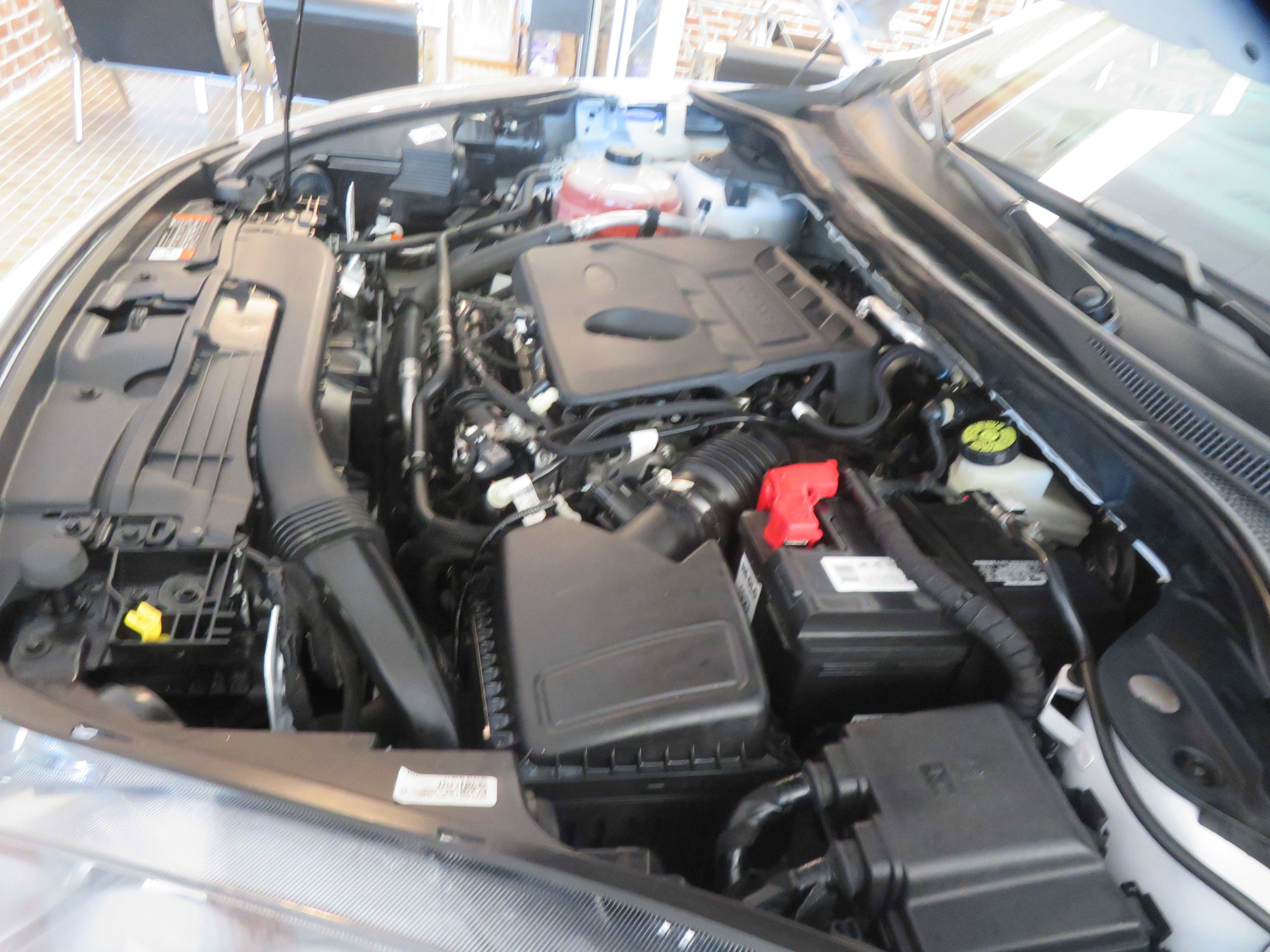 Used 2020 Ford Escape SEL image 47