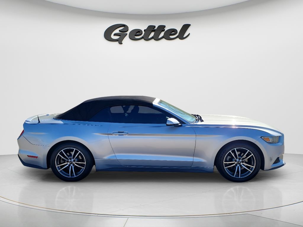 Used 2017 Ford Mustang Premium image 11