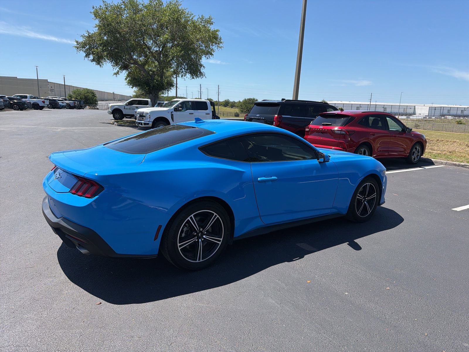 Used 2025 Ford Mustang Coupe image 6
