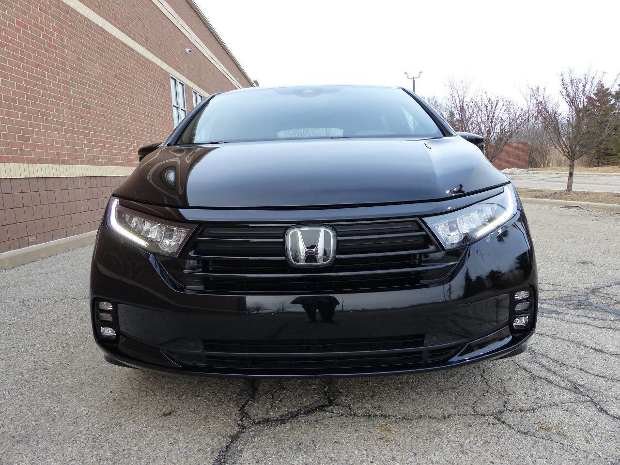 Used 2024 Honda Odyssey Sport image 13