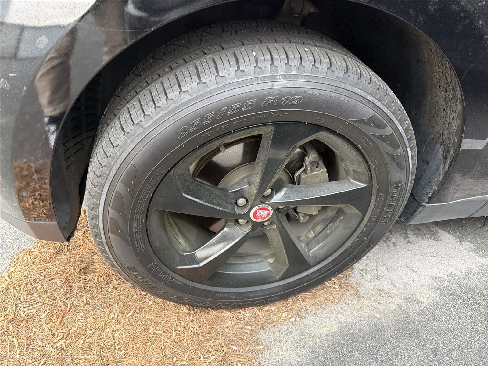 Used 2019 Jaguar F-PACE Premium image 13