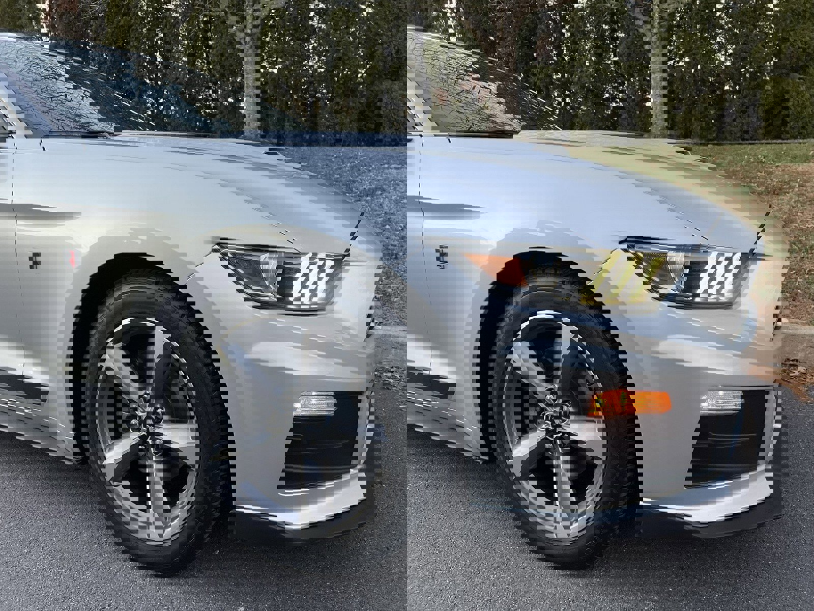 Used 2015 Ford Mustang Coupe w/ Equipment Group 051A image 58