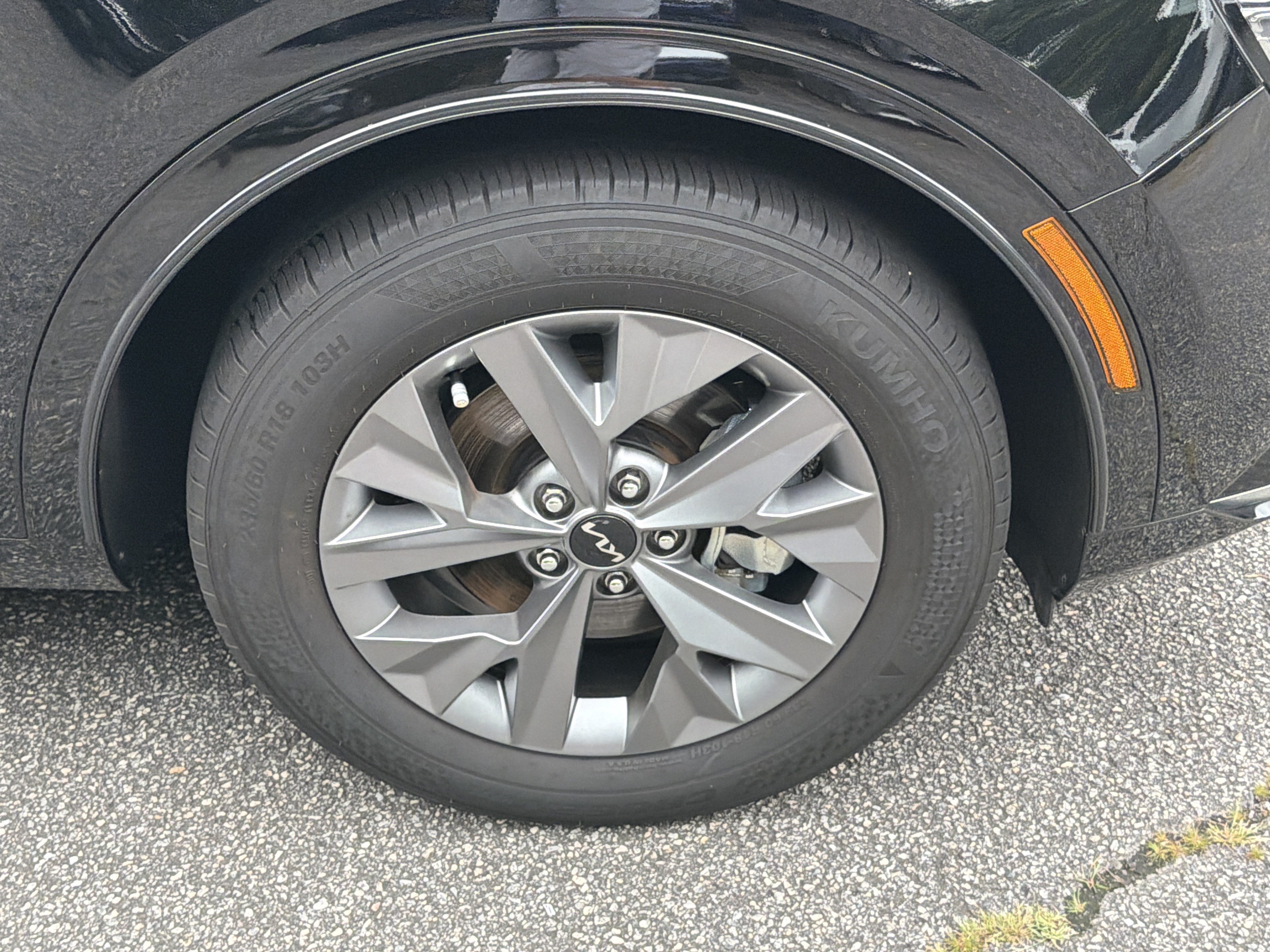 Certified 2024 Kia Sportage SX FWD image 12