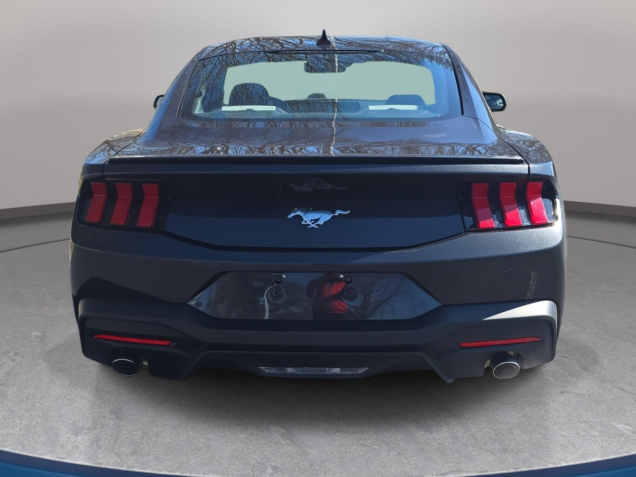 Used 2024 Ford Mustang Premium image 6