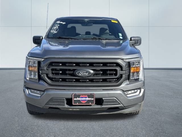 Used 2022 Ford F150 XLT w/ Equipment Group 302A High image 2