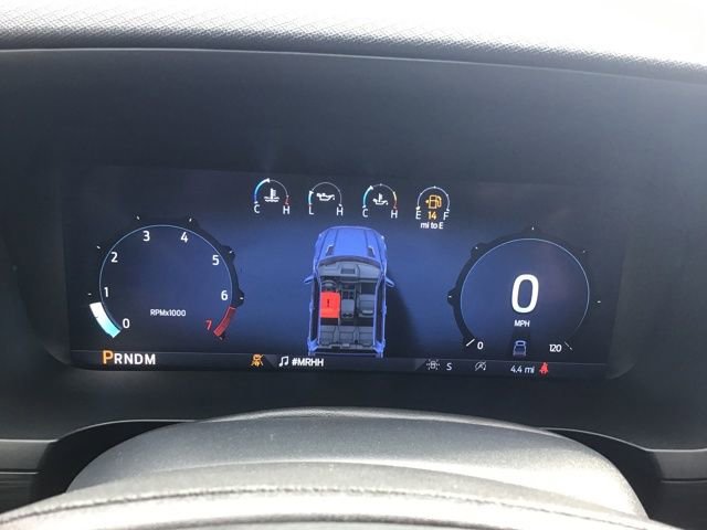 New 2025 Ford F150 STX w/ Equipment Group 200A image 15