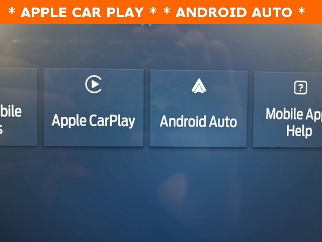 New 2025 Ford F150 XLT w/ Equipment Group 302A MID image 10