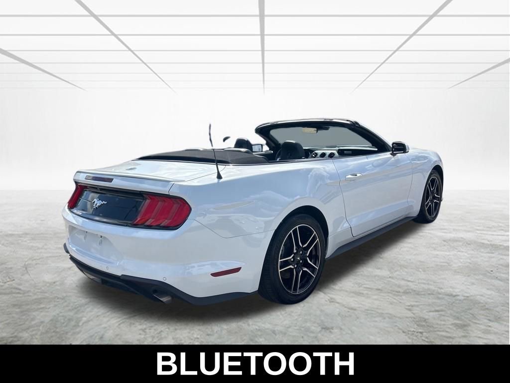 Used 2023 Ford Mustang Premium image 5