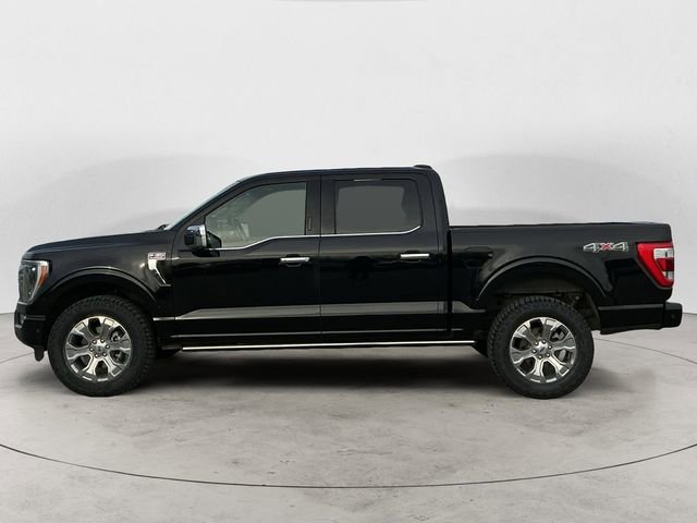 Used 2023 Ford F150 Platinum AWD/4WD image 2