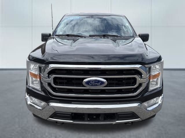 Used 2023 Ford F150 XLT w/ Equipment Group 301A Mid AWD/4WD image 6