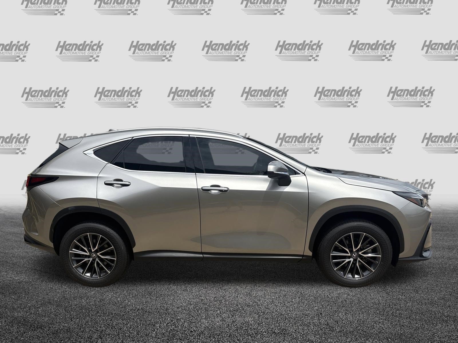 Certified 2025 Lexus NX 250 FWD w/ Cold Area Package image 11