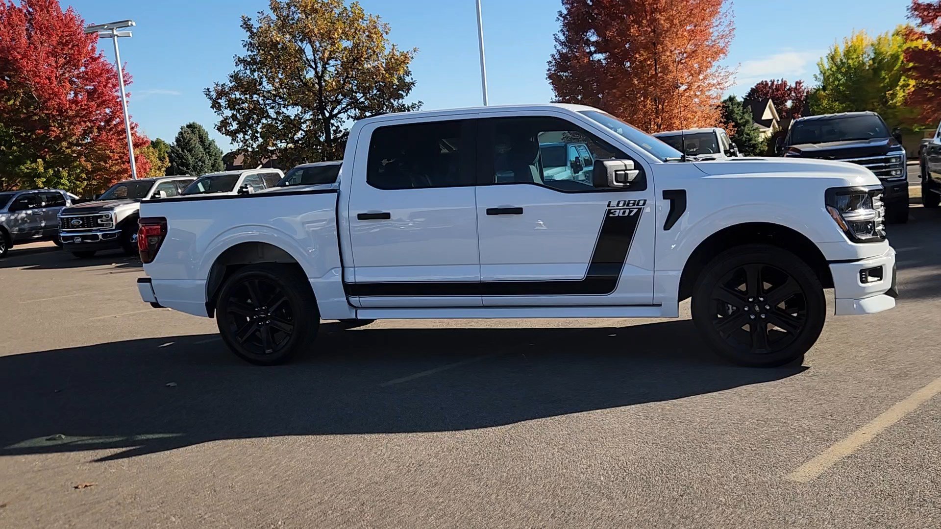 Used 2026 Ford F150 STX w/ F-150 LOBO Package AWD/4WD image 10
