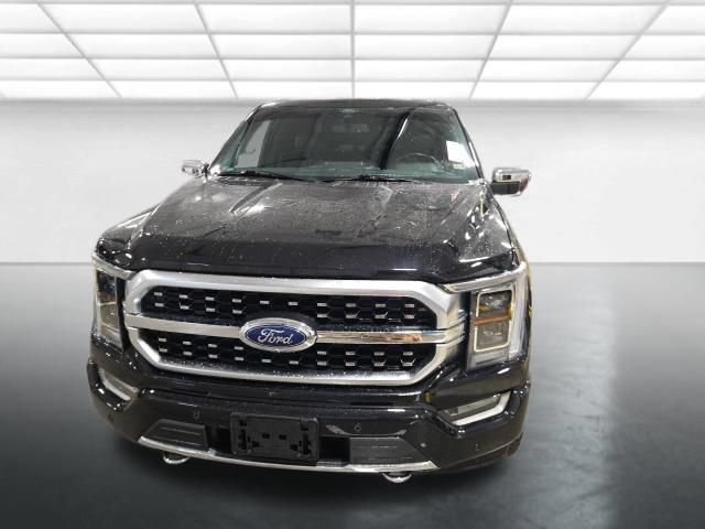 Used 2021 Ford F150 Platinum w/ Equipment Group 701A High AWD/4WD image 10