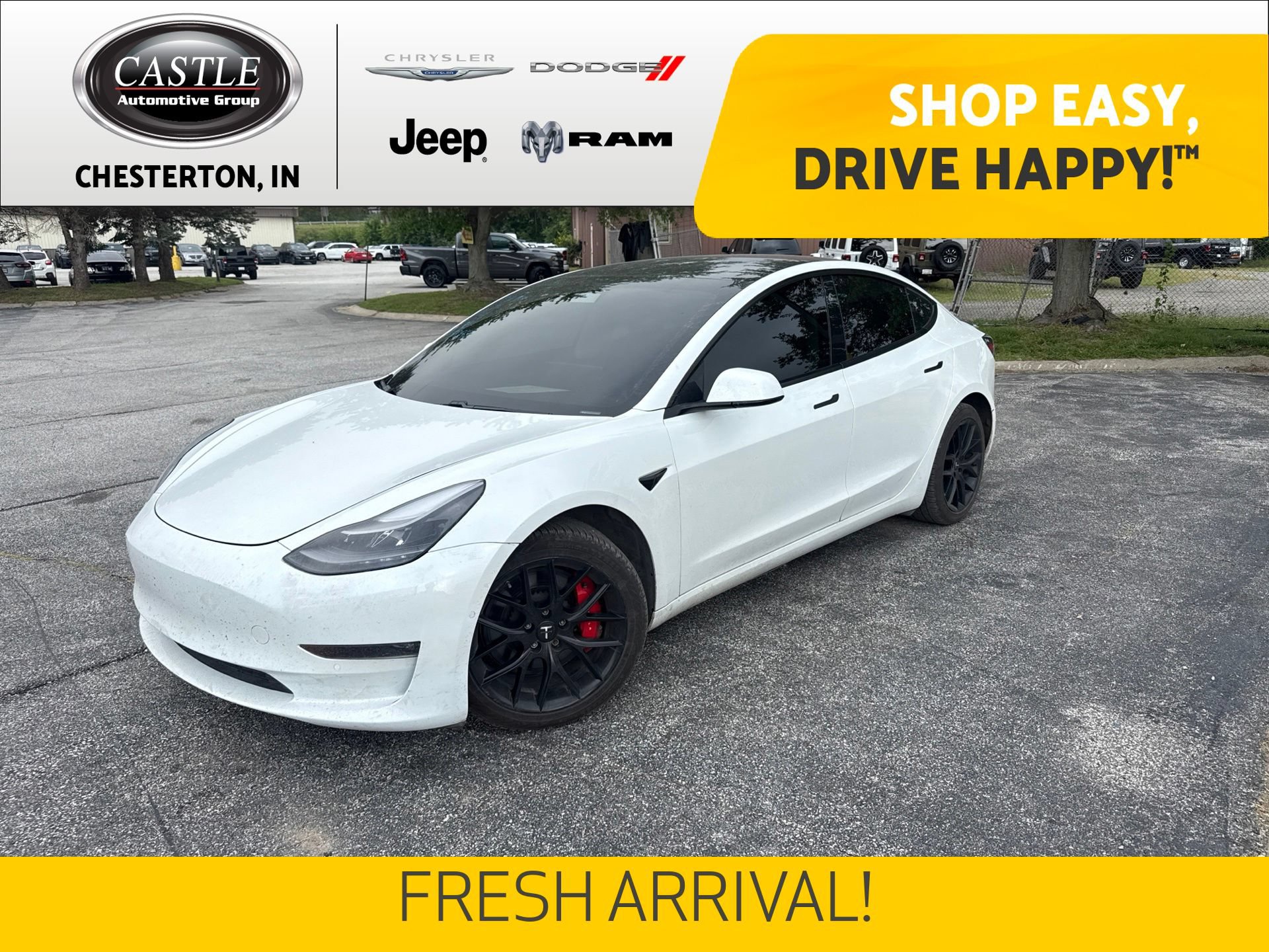 Used 2021 Tesla Model 3 Performance AWD/4WD image 1