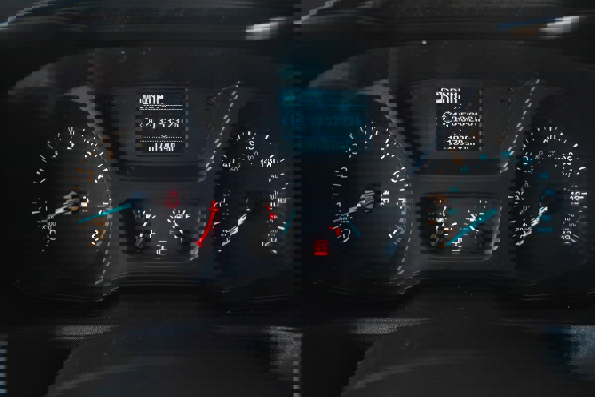 Used 2019 Ford Transit 250 130 Low Roof w/ Exterior Upgrade Package image 14