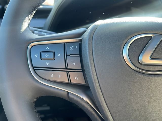 New 2025 Lexus UX 300h AWD w/ Cold Area Package image 22