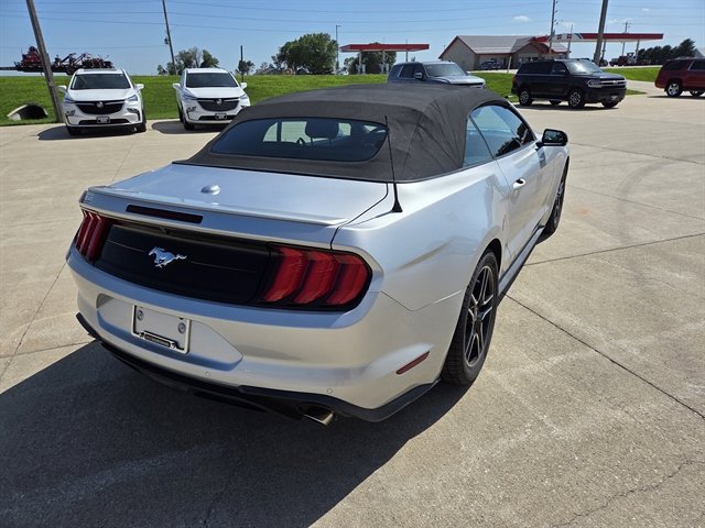 Used 2018 Ford Mustang Premium w/ Equipment Group 201A image 3