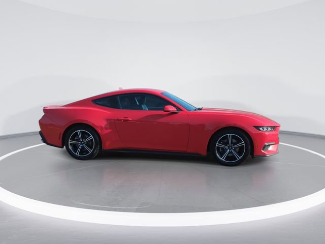 Used 2024 Ford Mustang Premium image 9