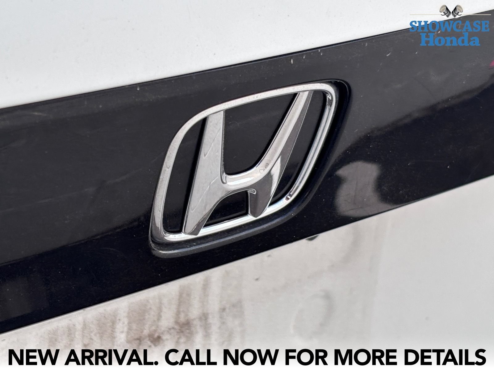 Used 2023 Honda Accord EX-L image 11