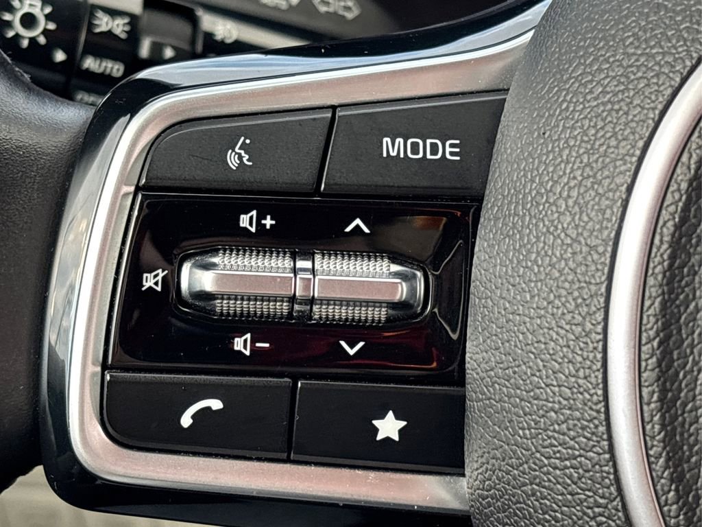 Used 2023 Kia Carnival SX Prestige image 28