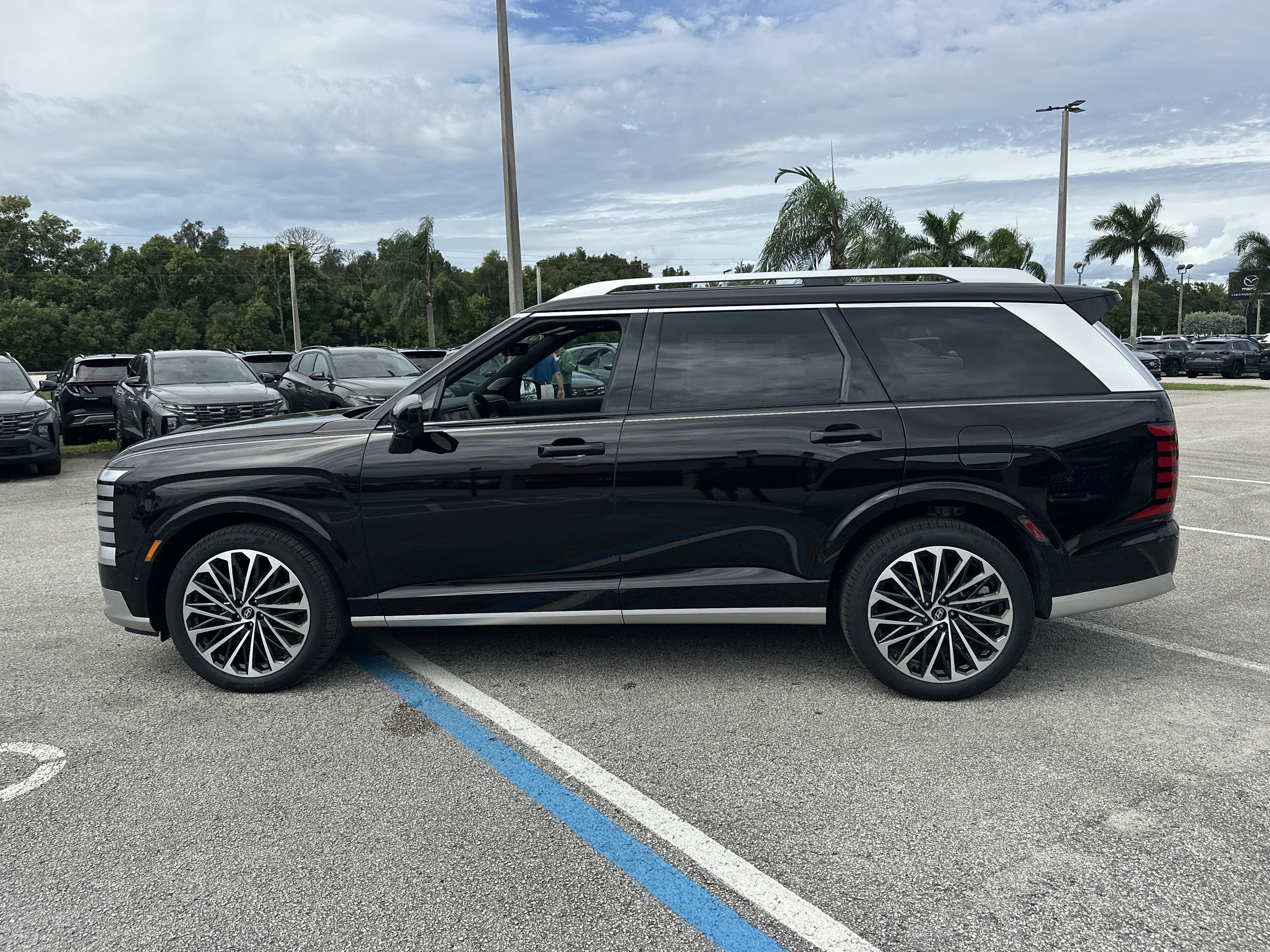 New 2026 Hyundai Palisade Calligraphy image 9