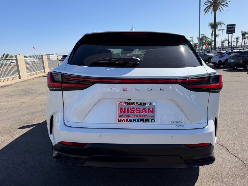 Used 2025 Lexus NX 250 AWD w/ Cold Area Package image 5