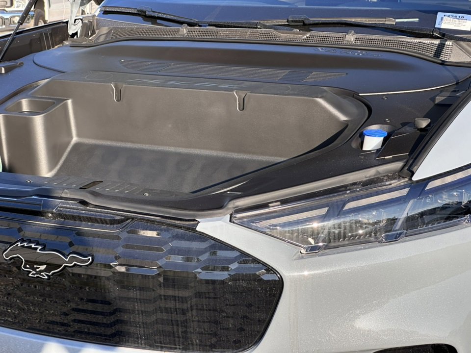 New 2025 Ford Mustang Mach-E GT image 18
