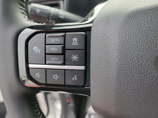 New 2025 Ford F150 Lightning Platinum image 29