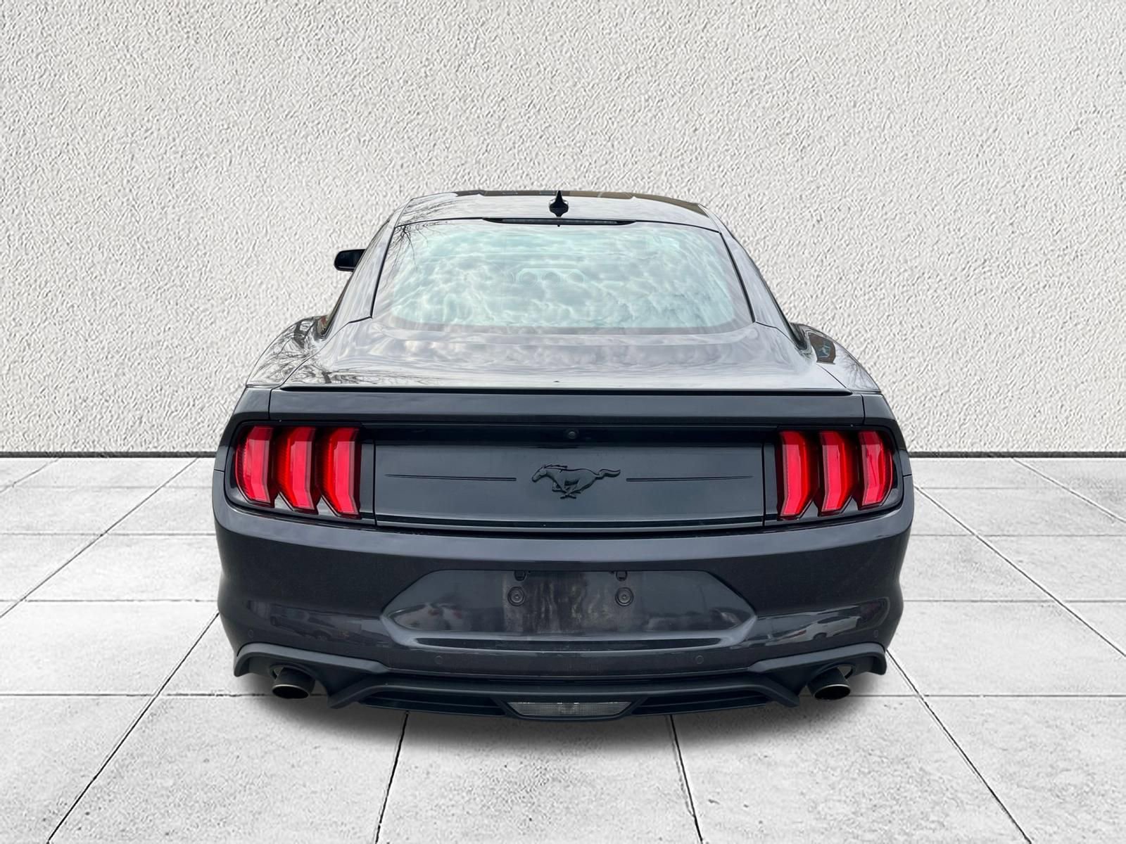 Used 2023 Ford Mustang Premium w/ Mustang Nite Pony Package image 7