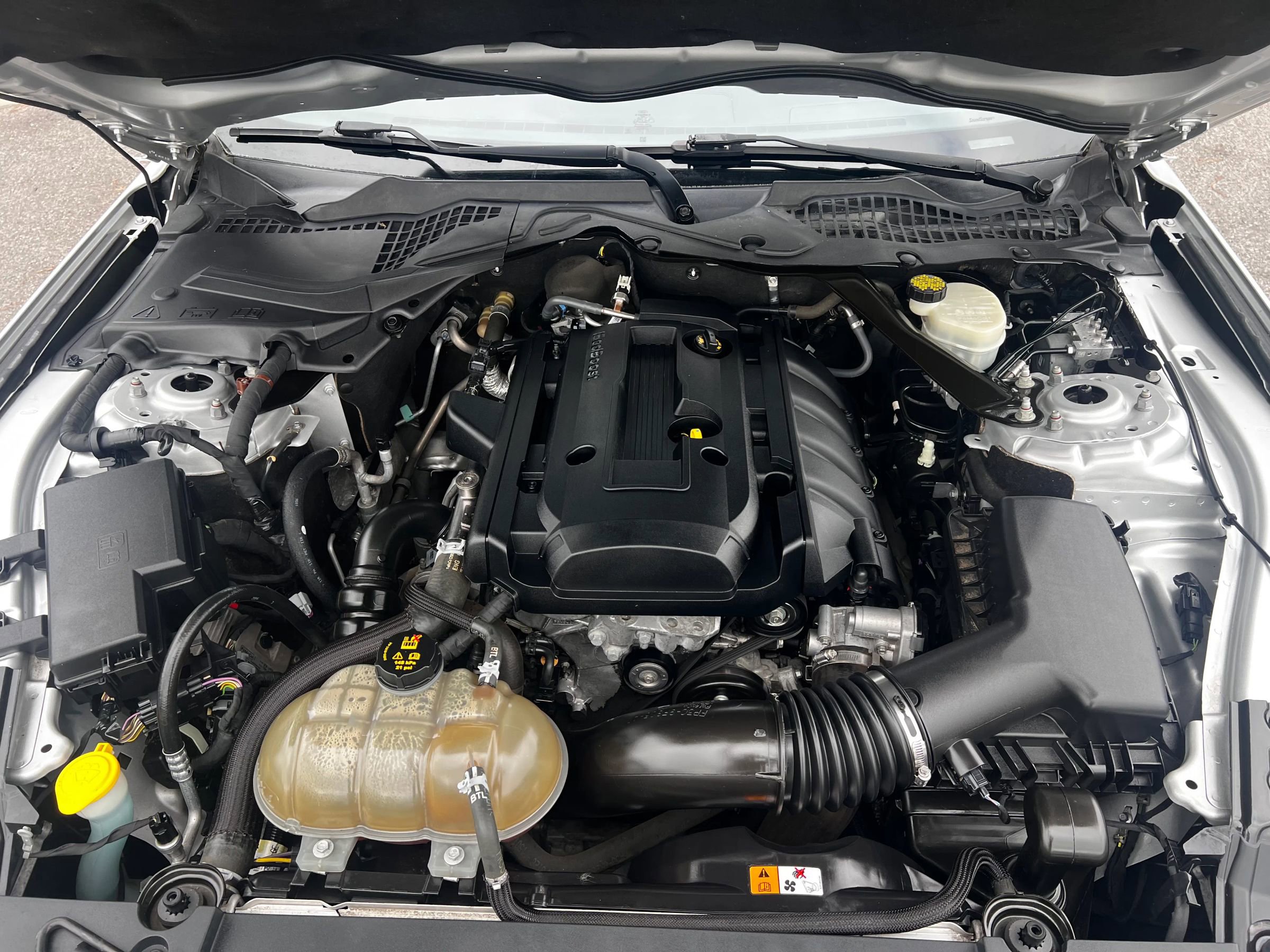 Used 2017 Ford Mustang Premium image 31