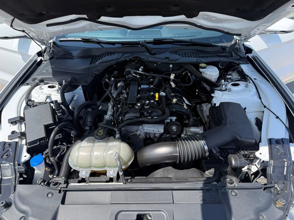 Used 2023 Ford Mustang Premium w/ Equipment Group 201A RWD image 16