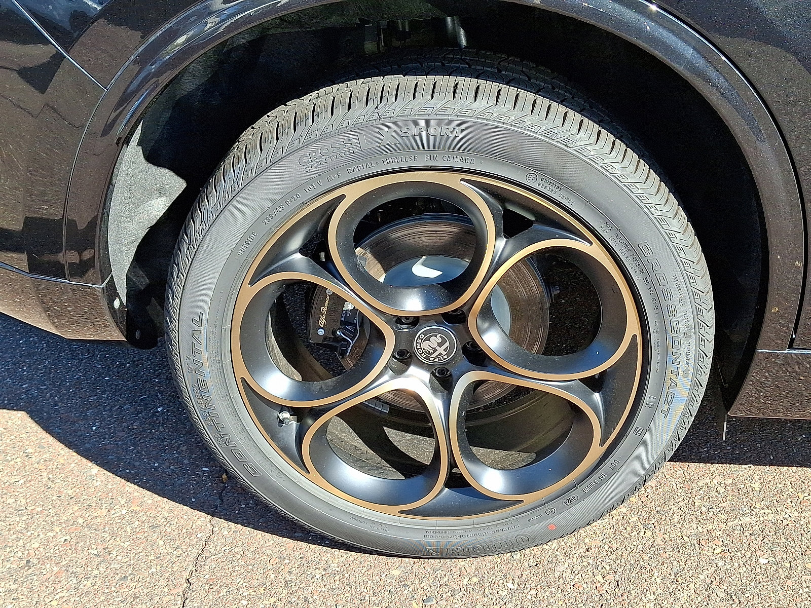 New 2025 Alfa Romeo Stelvio Sprint image 5