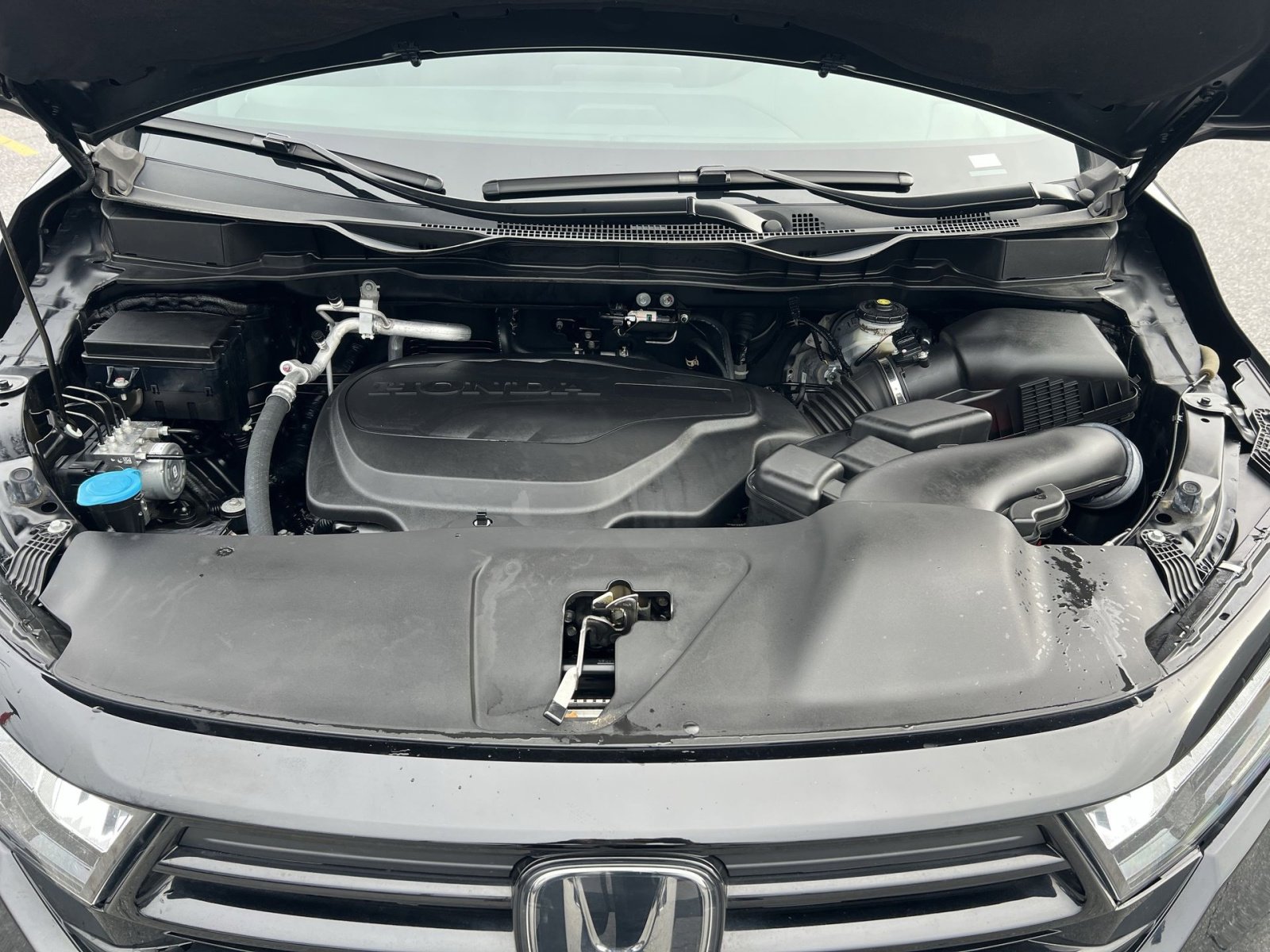 Used 2023 Honda Odyssey Sport image 28