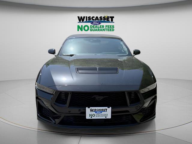 New 2025 Ford Mustang GT Premium w/ Mustang Nite Pony Package image 9
