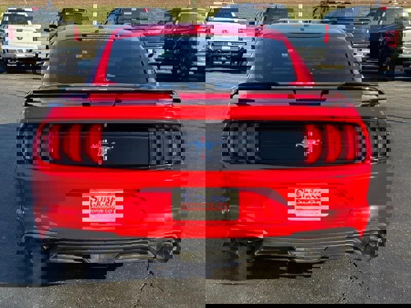 Used 2019 Ford Mustang Premium w/ Pony Package image 4