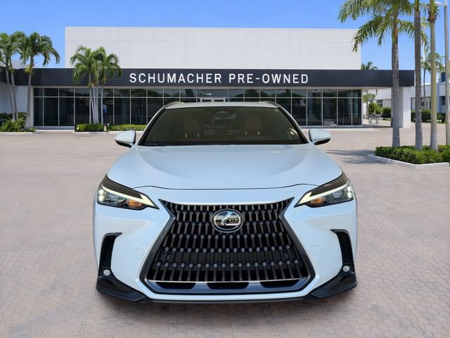 Used 2025 Lexus NX 350 AWD w/ Accessory Package (Z2) image 2