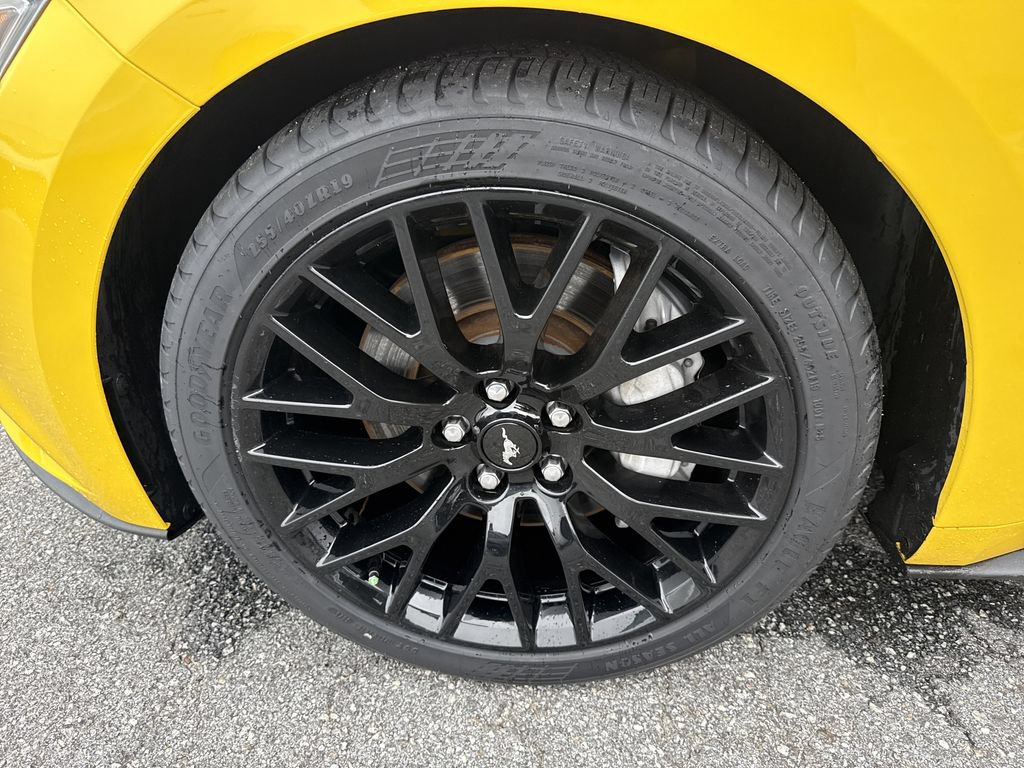 Used 2017 Ford Mustang GT Premium RWD image 12