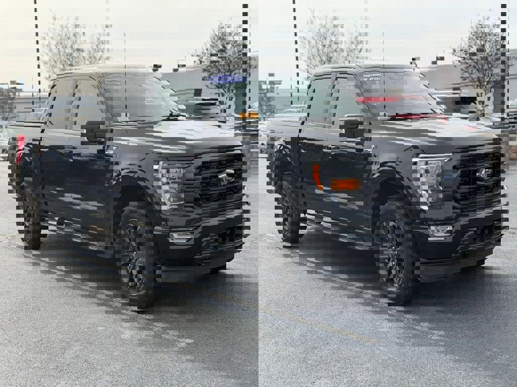 Used 2022 Ford F150 XLT w/ Equipment Group 302A High image 2