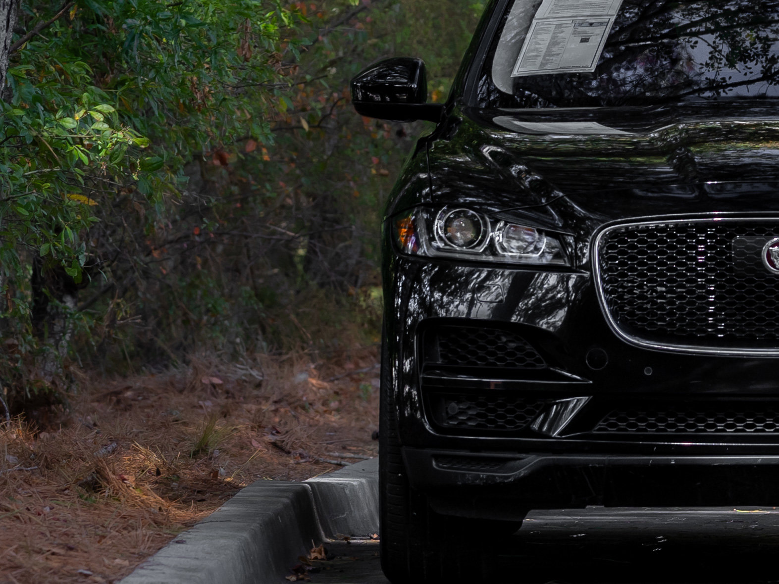 Used 2019 Jaguar F-PACE Prestige image 37