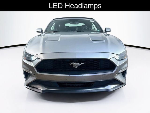 Used 2020 Ford Mustang Premium RWD image 2