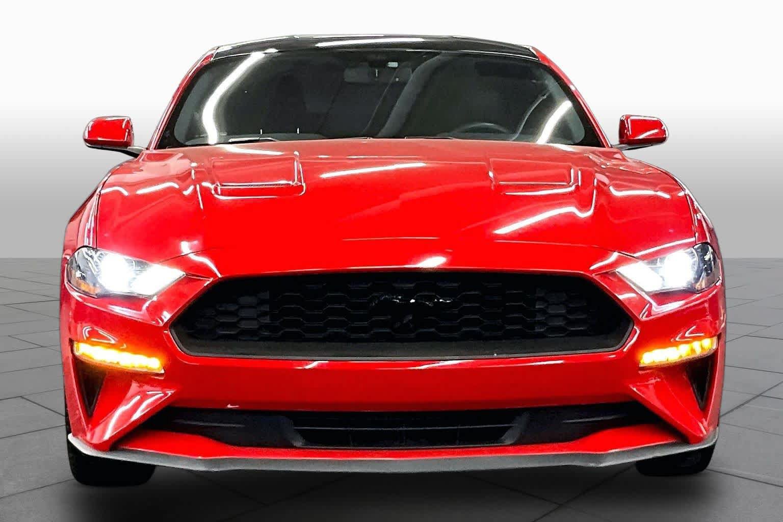 Used 2019 Ford Mustang Coupe w/ Equipment Group 101A RWD image 3