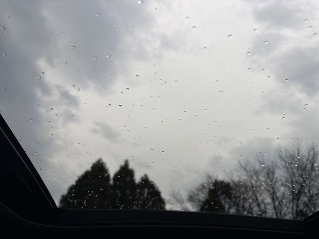 Certified 2023 INFINITI QX50 Sport w/ Cargo Package image 20