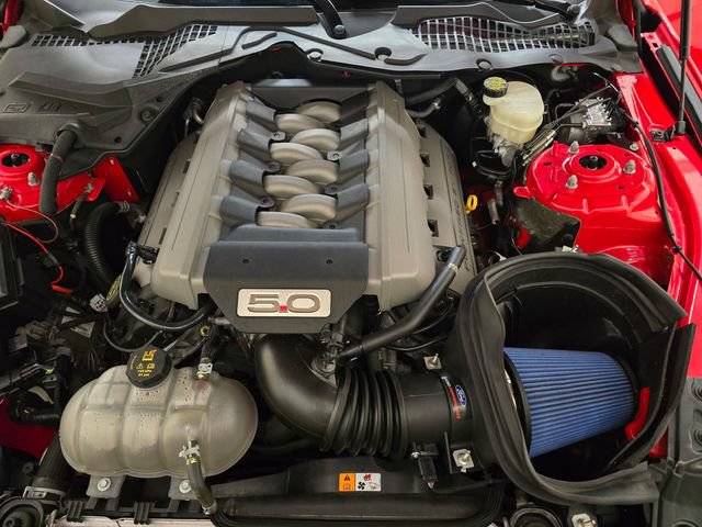Used 2016 Ford Mustang GT Premium w/ Equipment Group 401A RWD image 13