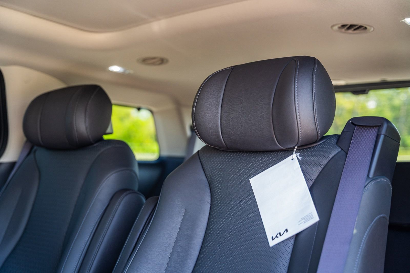 New 2026 Kia Carnival SX Prestige image 14