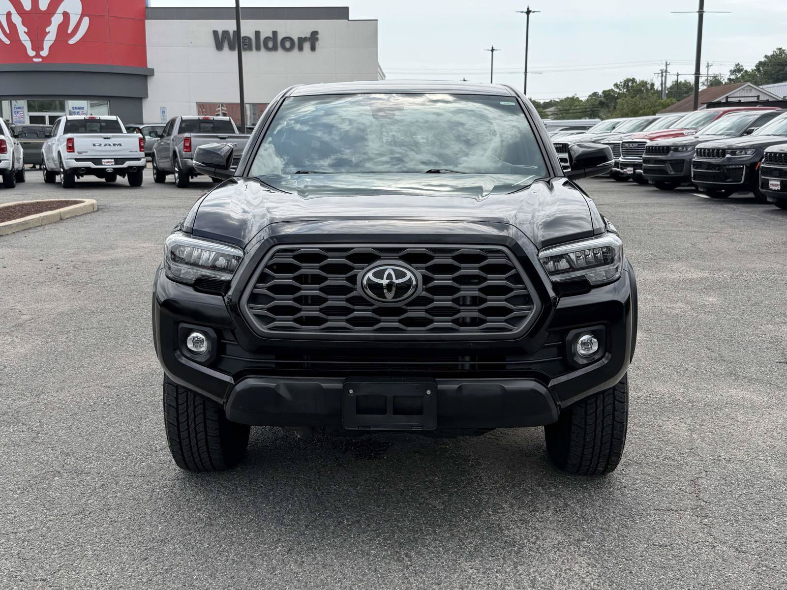 Used 2022 Toyota Tacoma TRD Off-Road w/ TRD Premium Off Road Package AWD/4WD image 8