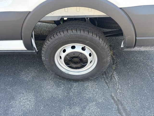 New 2025 Ford Transit 250 Low Roof w/ Load Area Protection Package image 14