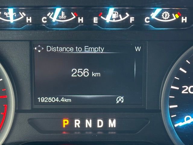 Used 2019 Ford F150 XLT w/ Equipment Group 301A Mid image 19